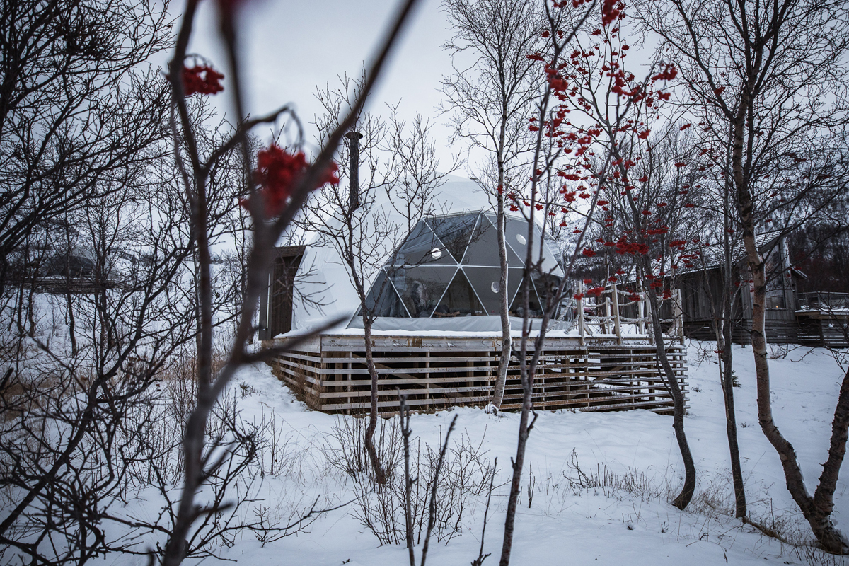 A glass igloo at Isbreen seen through snow-dusted branches and red winter berries.