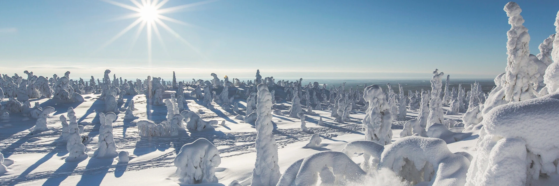 Iso-Syöte View from the Top of the Fell with Heavy Snow Blanketing the pines