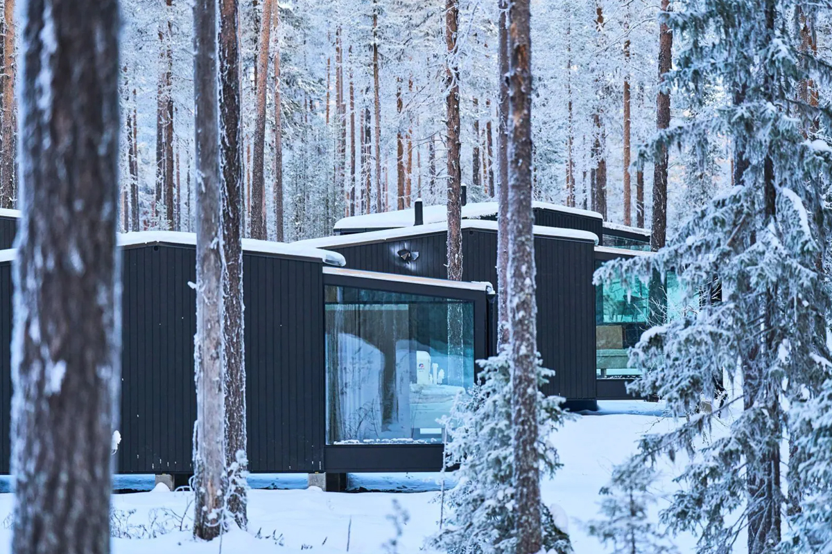 Glass Igloos at Balder Luxury Lodge in Levi, nestled among snow covered pines.