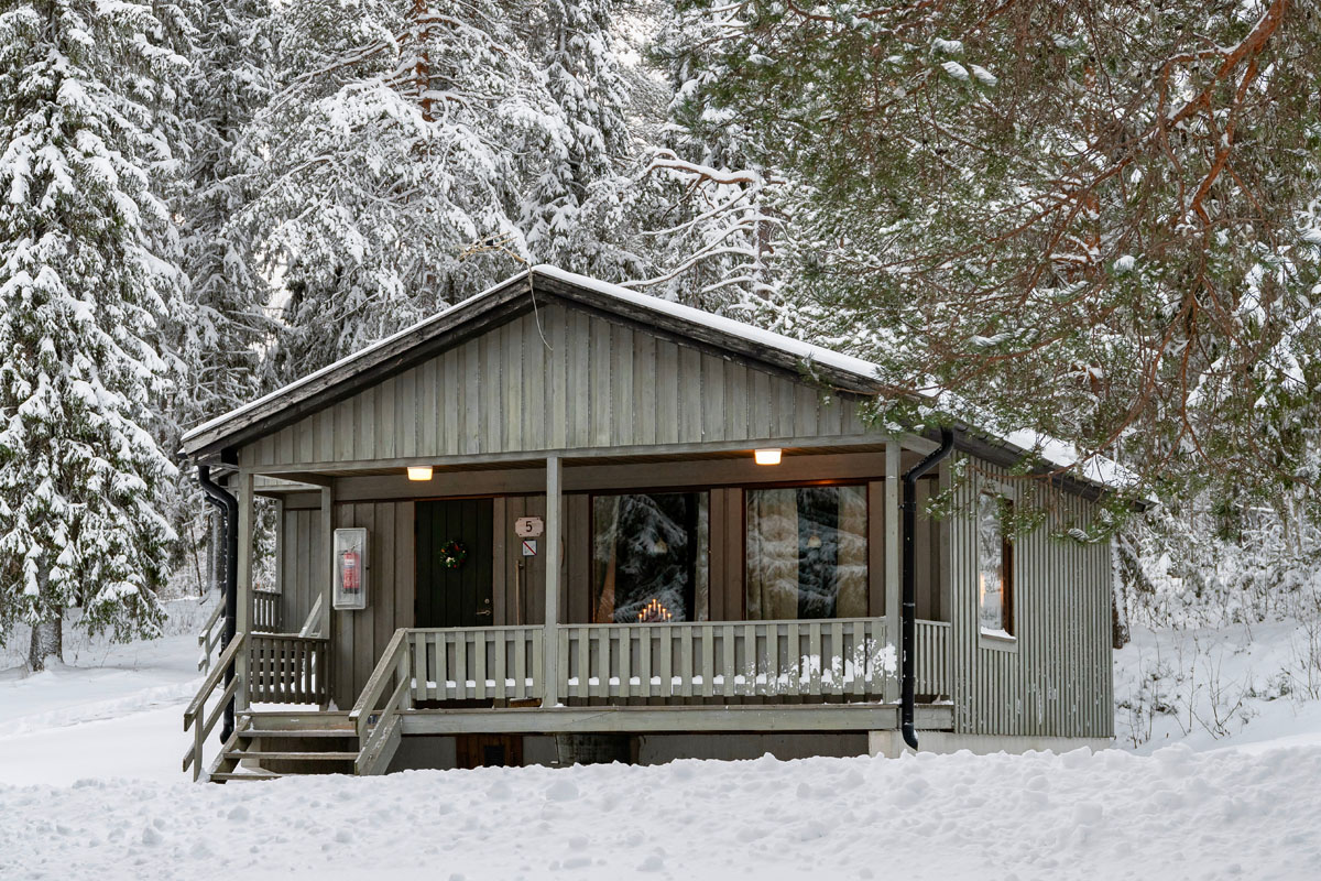 Exterior of a cabin at Brändön Lodge in winter, with a covered veranda, warm interior light, and surrounding snow-covered trees.
