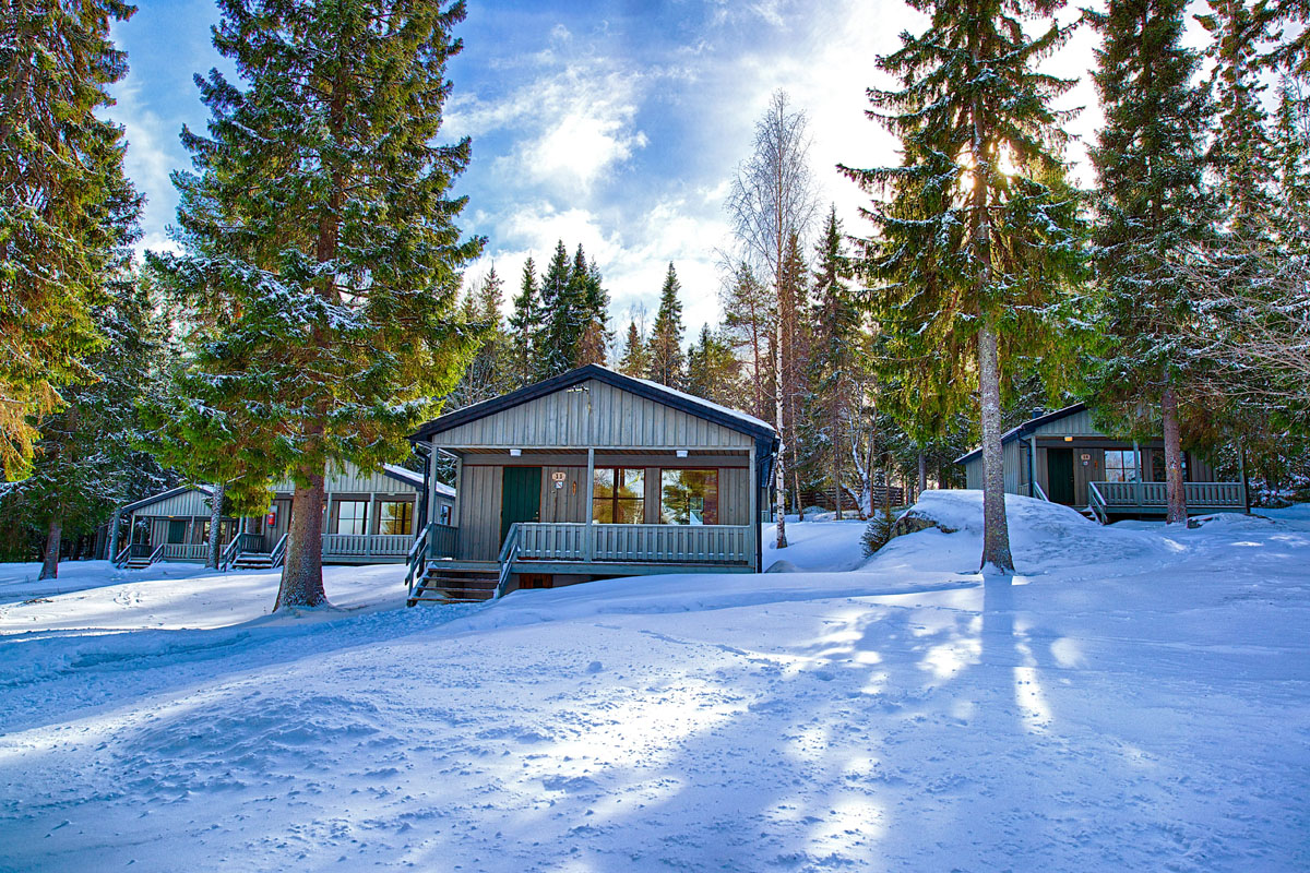 Exterior of cabins at Brändön Lodge in winter, with snow-covered verandas and tall trees on the Luleå archipelago coast.