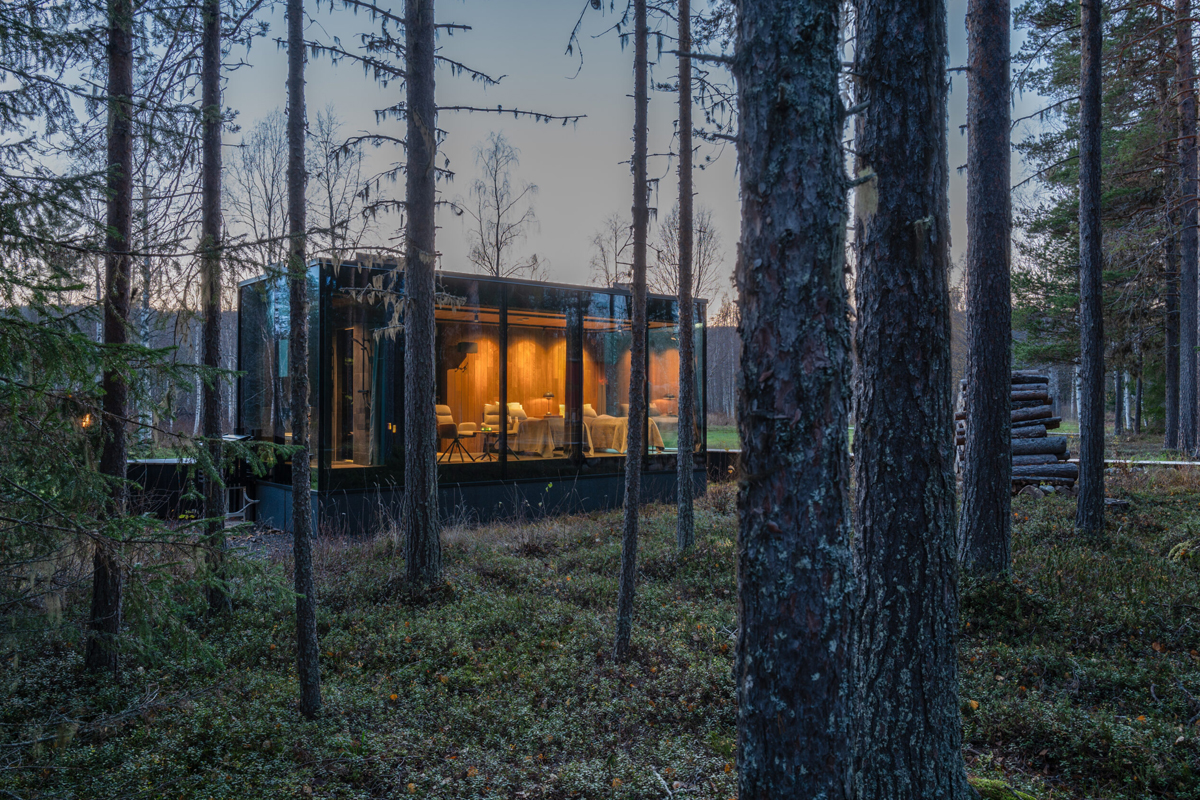 A glass pod suite glows amid autumn pine trees at Loggers Lodge in Harads, Swedish Lapland.
