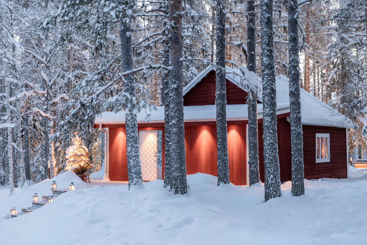 A snow-covered red timber cabin glows warmly among tall pines at Loggers Lodge, Harads, at dusk.