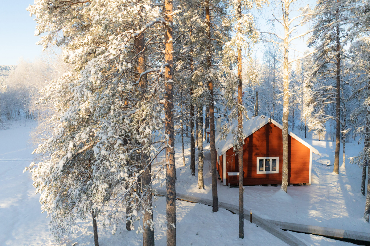 A traditional red timber cabin sits among snow-covered pines at Loggers Lodge, Harads, Sweden.