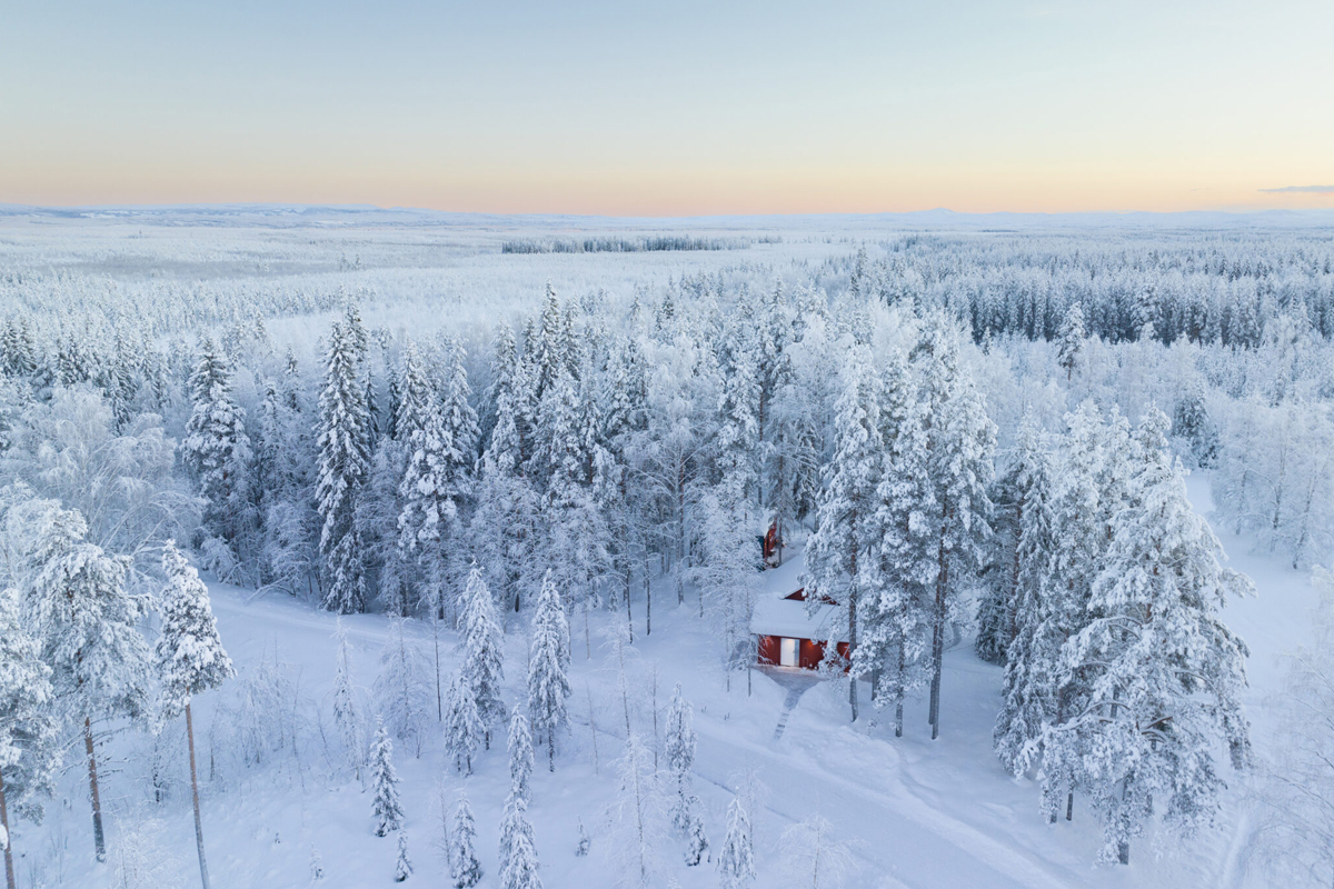 Aerial view of a red cabin nestled among snow-laden pines at Loggers Lodge, Harads, Swedish Lapland.
