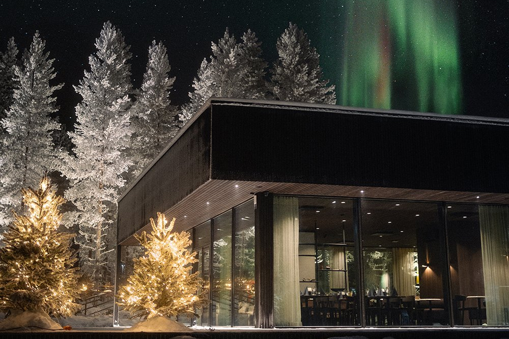 Halo Igloos restaurant building at night with Christmas-lit trees and northern lights in the sky, Rovaniemi