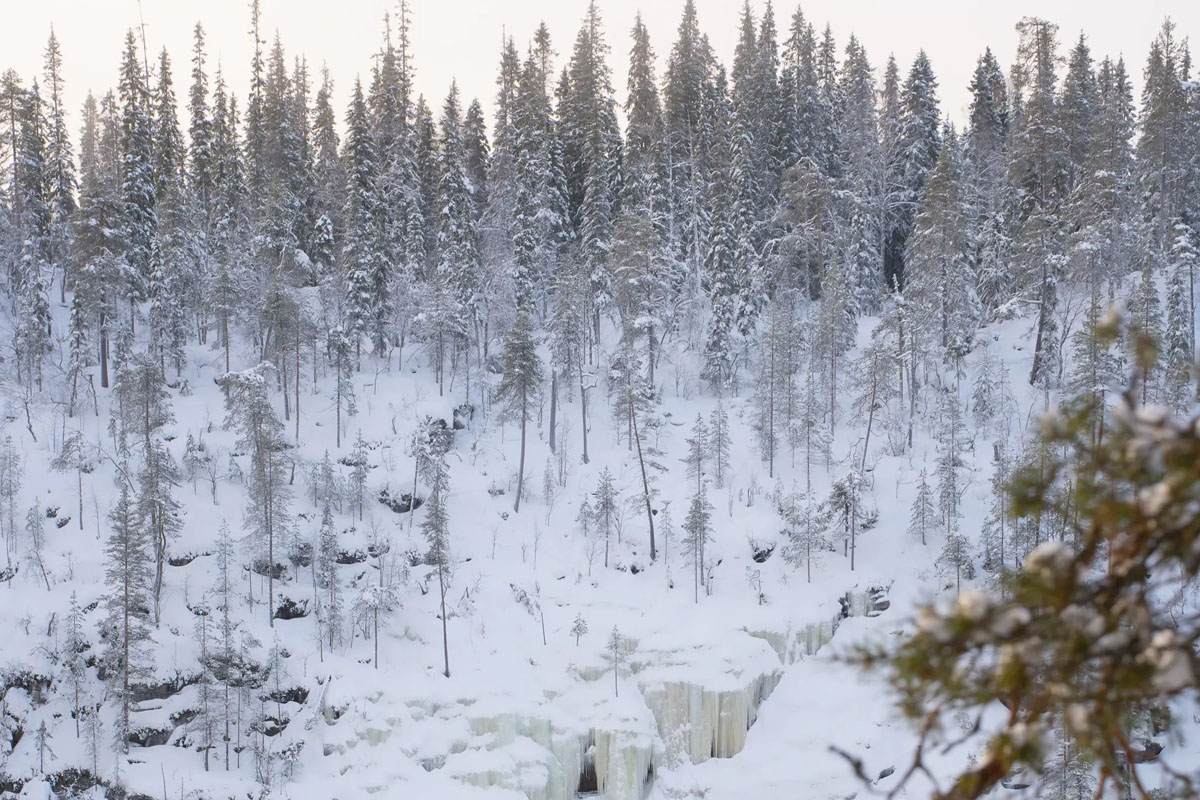 A frozen waterfall at the base of a deep snow-covered canyon in Korouoma Nature Reserve, Finnish Lapland.
