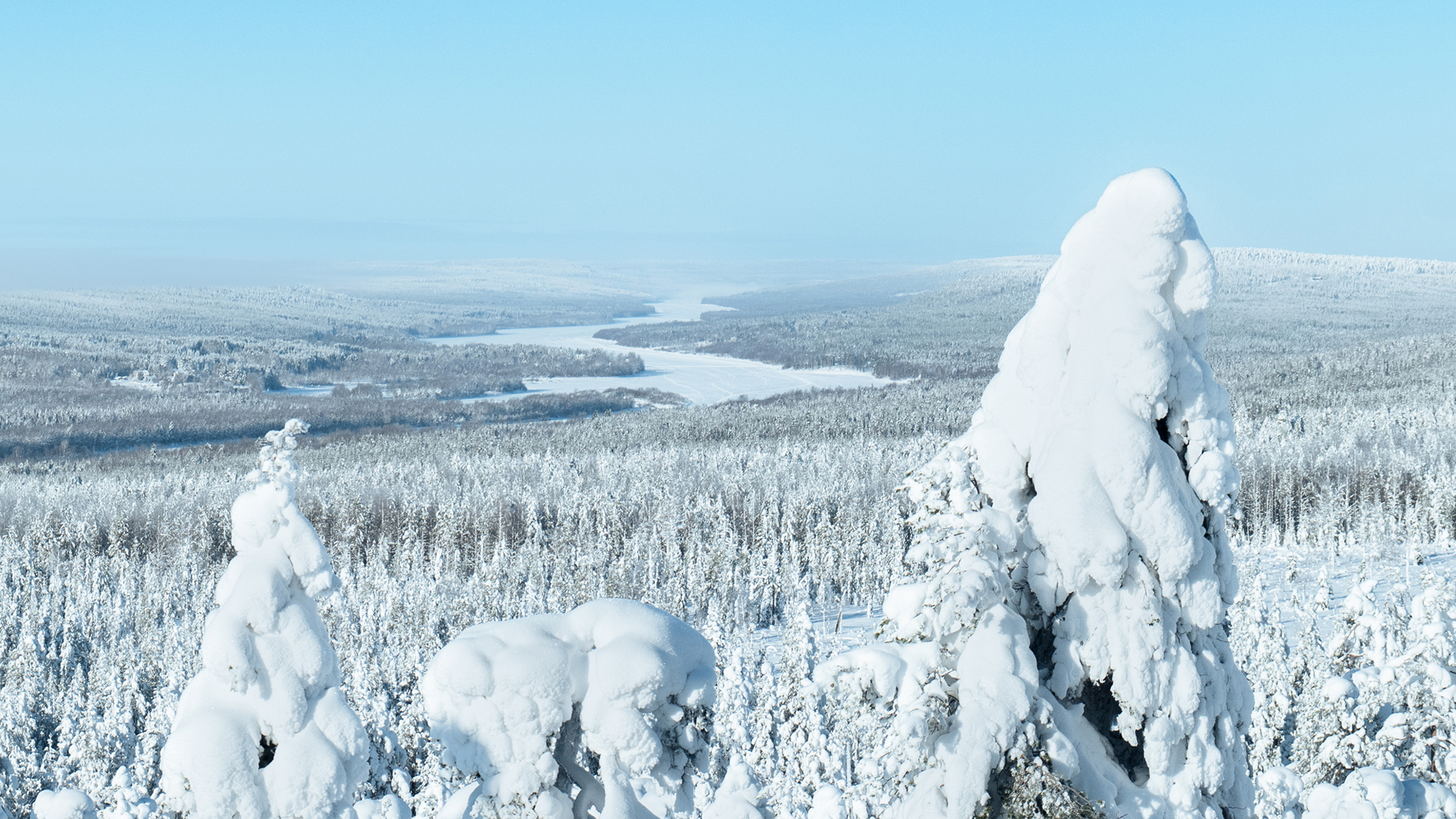 Forêt enneigée et rivière gelée vues depuis une colline lapone en hiver, en Laponie finlandaise