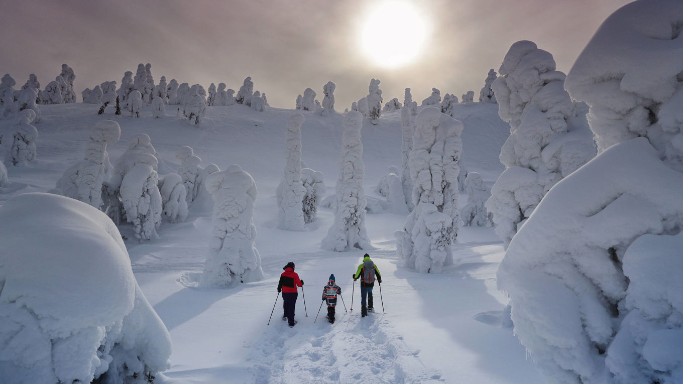 Winter Exploration and Snowshoeing in Lapland with Kids