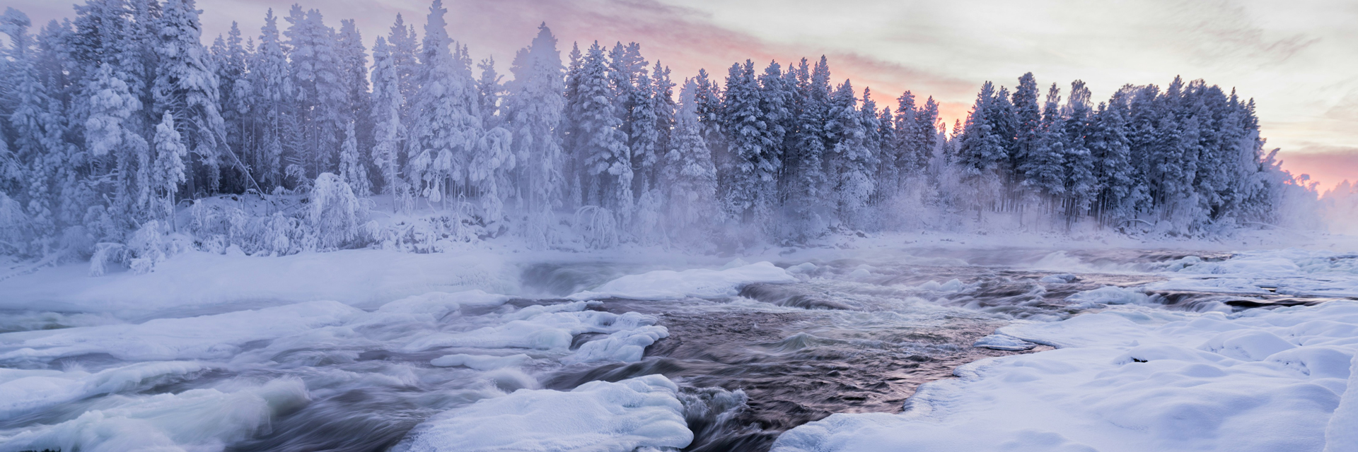 Wide view of Storforsen Nature Reserve rapids, Sweden, at sunset. Photo: Christoph Nolte.