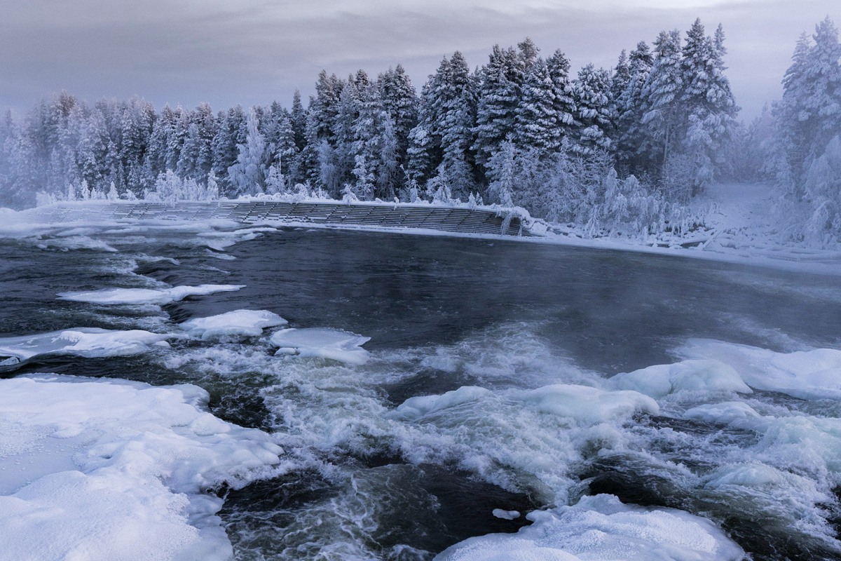 Wooden walkway over the rapids at Storforsen Nature Reserve, Sweden, in winter. Photo: Christoph Nolte.