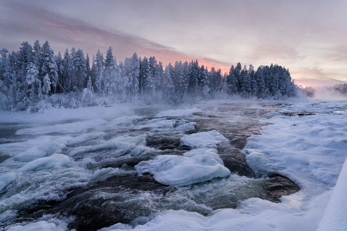 Storforsen Nature Reserve rapids in Sweden at dusk, with a pink and grey sky. Photo: Christoph Nolte.