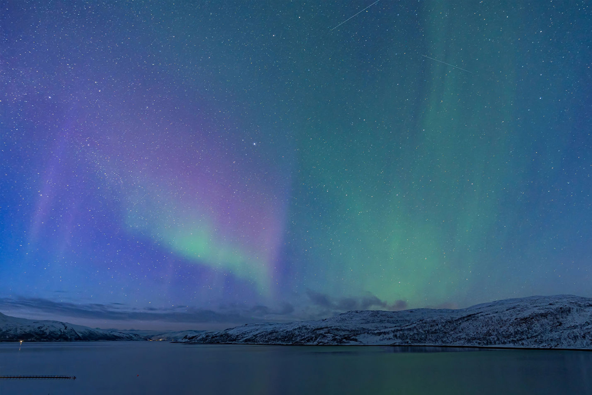 Northern lights in purple and green over an Arctic fjord at night. Photo: Northern Soul Adventures.