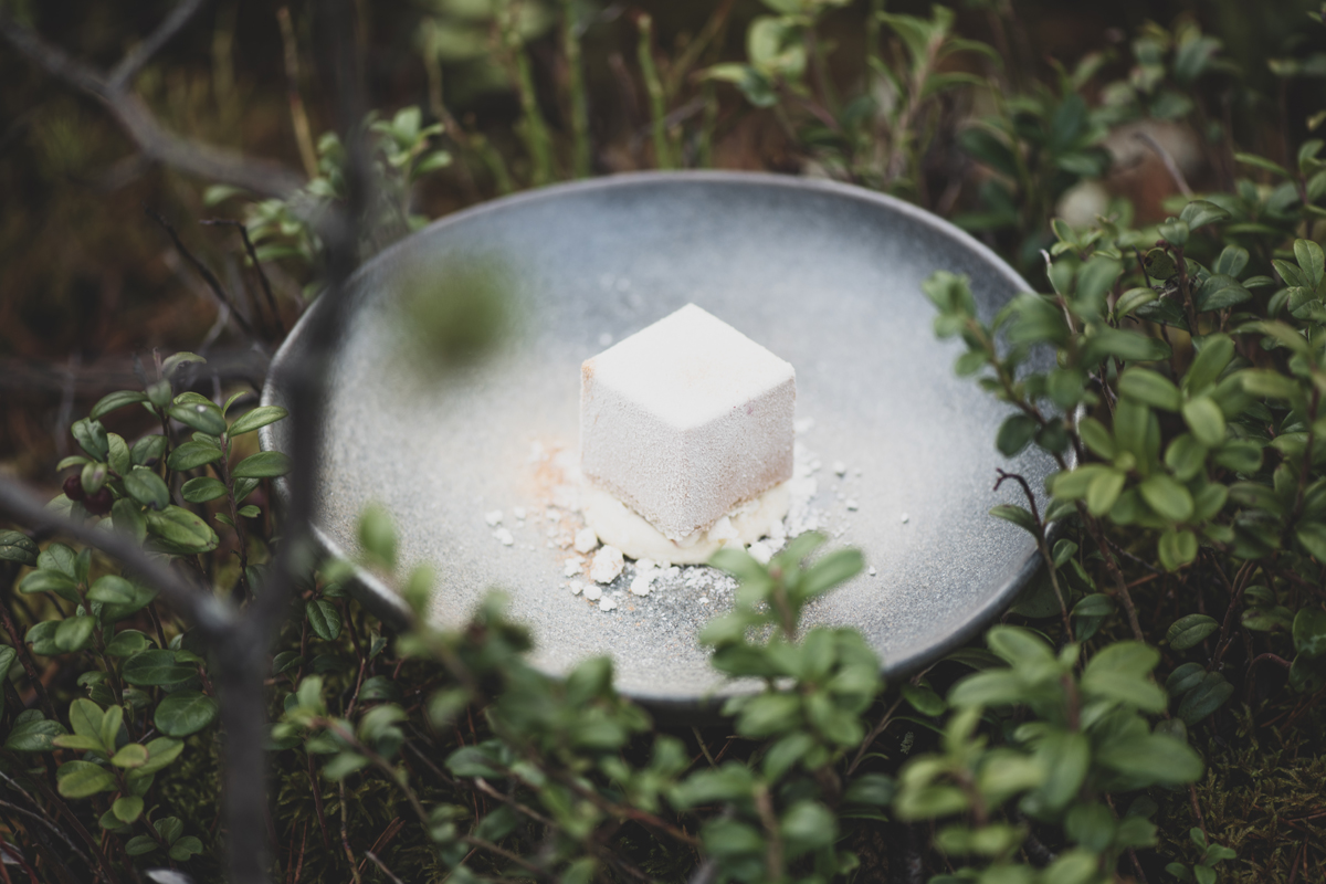 Delicate cube-shaped dessert served on a plate amid forest foliage at Invisible Forest Lodge.