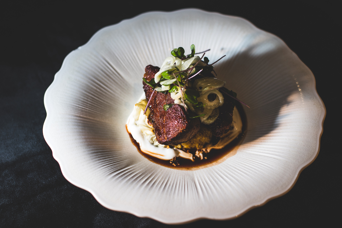 Seared reindeer dish with pickled onion and microgreens, plated at Invisible Forest Lodge.
