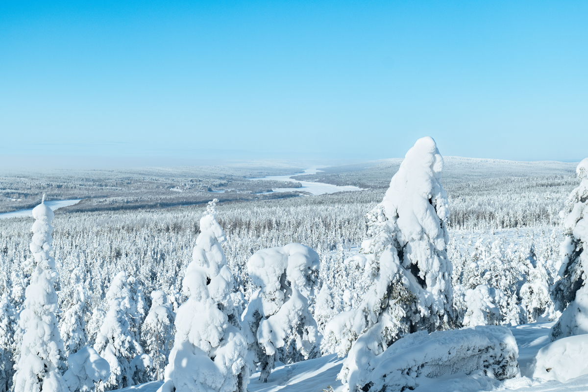 A snow-laden fell landscape overlooks a frozen river winding through forest in Lapland.