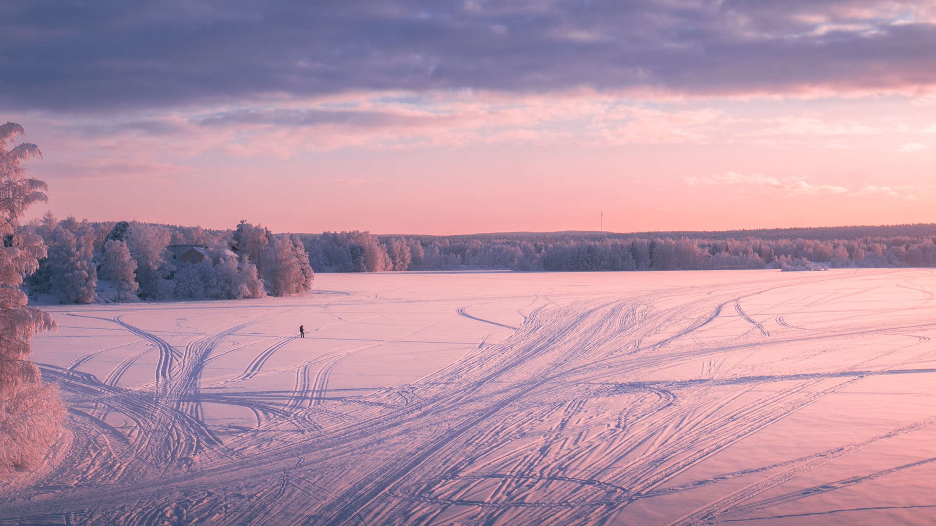 Pink lapland sunset over Rovaniemi in January