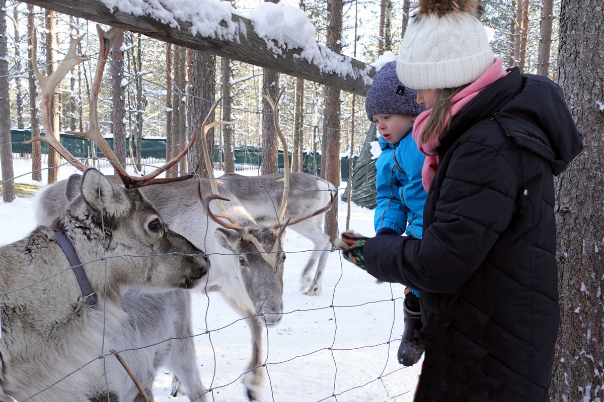 Adult holding a toddler beside reindeer behind a fence in a snowy forest in Lapland