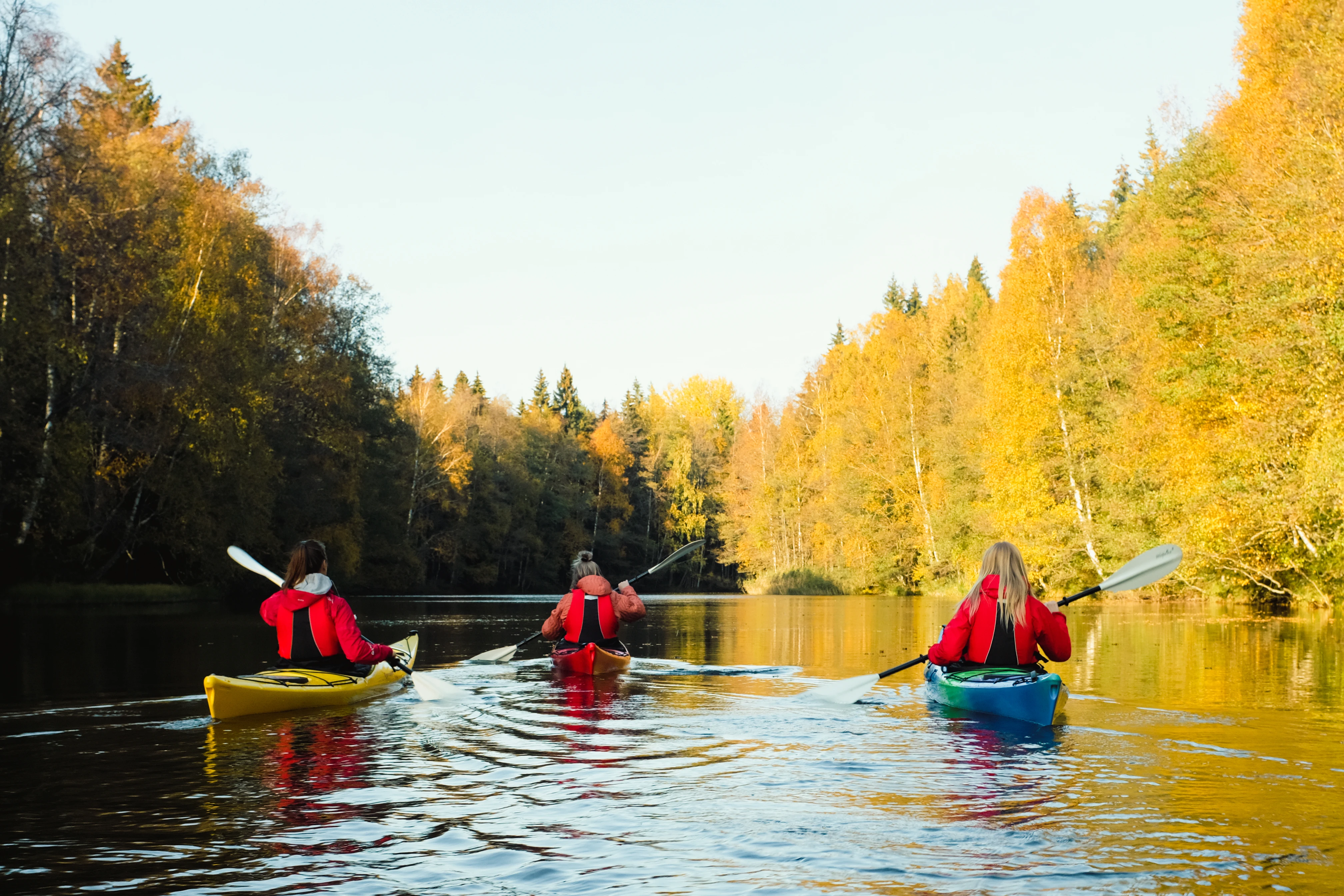 Three Girls Kayaking Down a River surrounded by Beautiful Yellow Trees during Autumn in Lapland