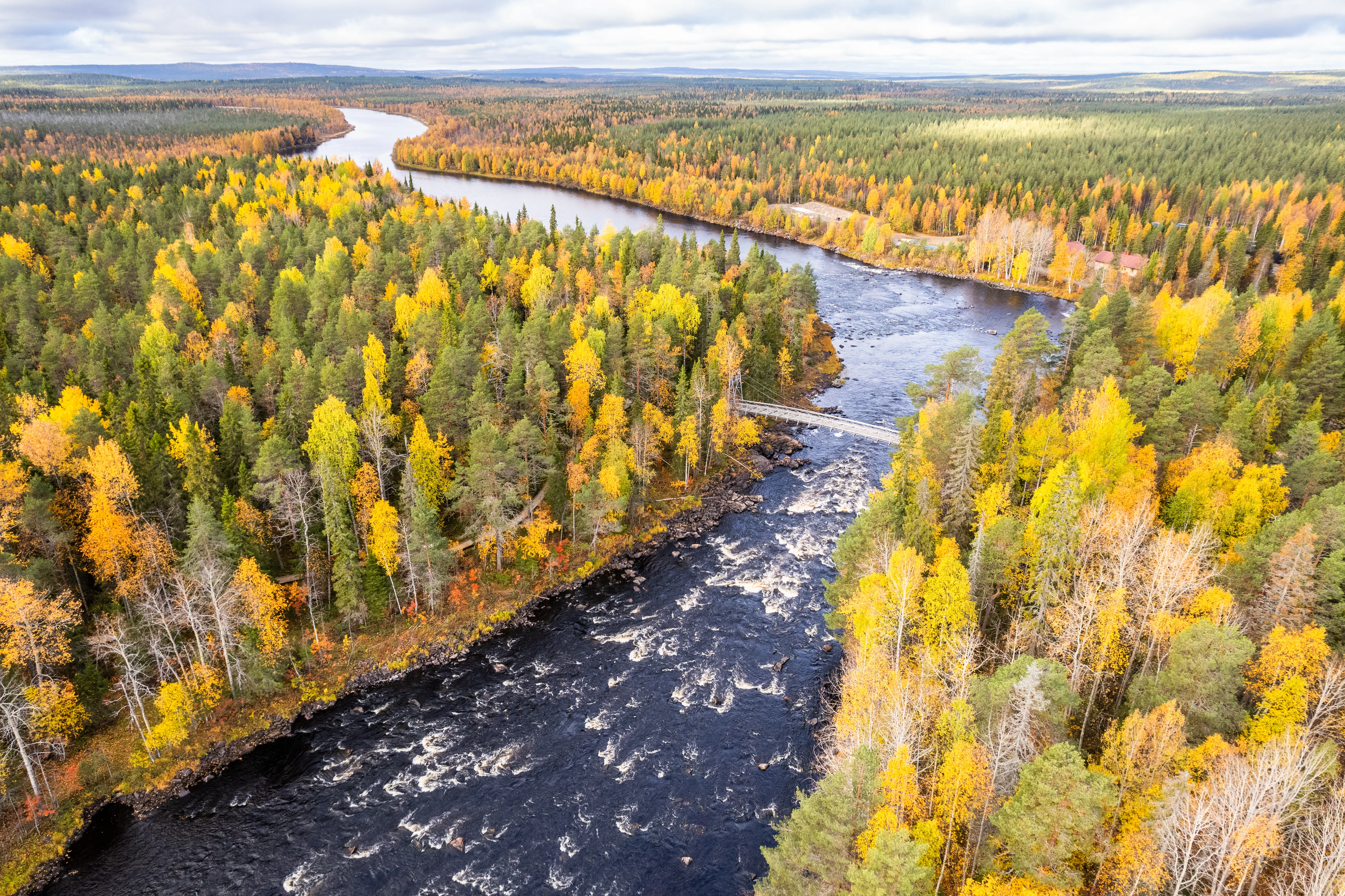 Finland colorful nature along a river during autumn in Lapland
