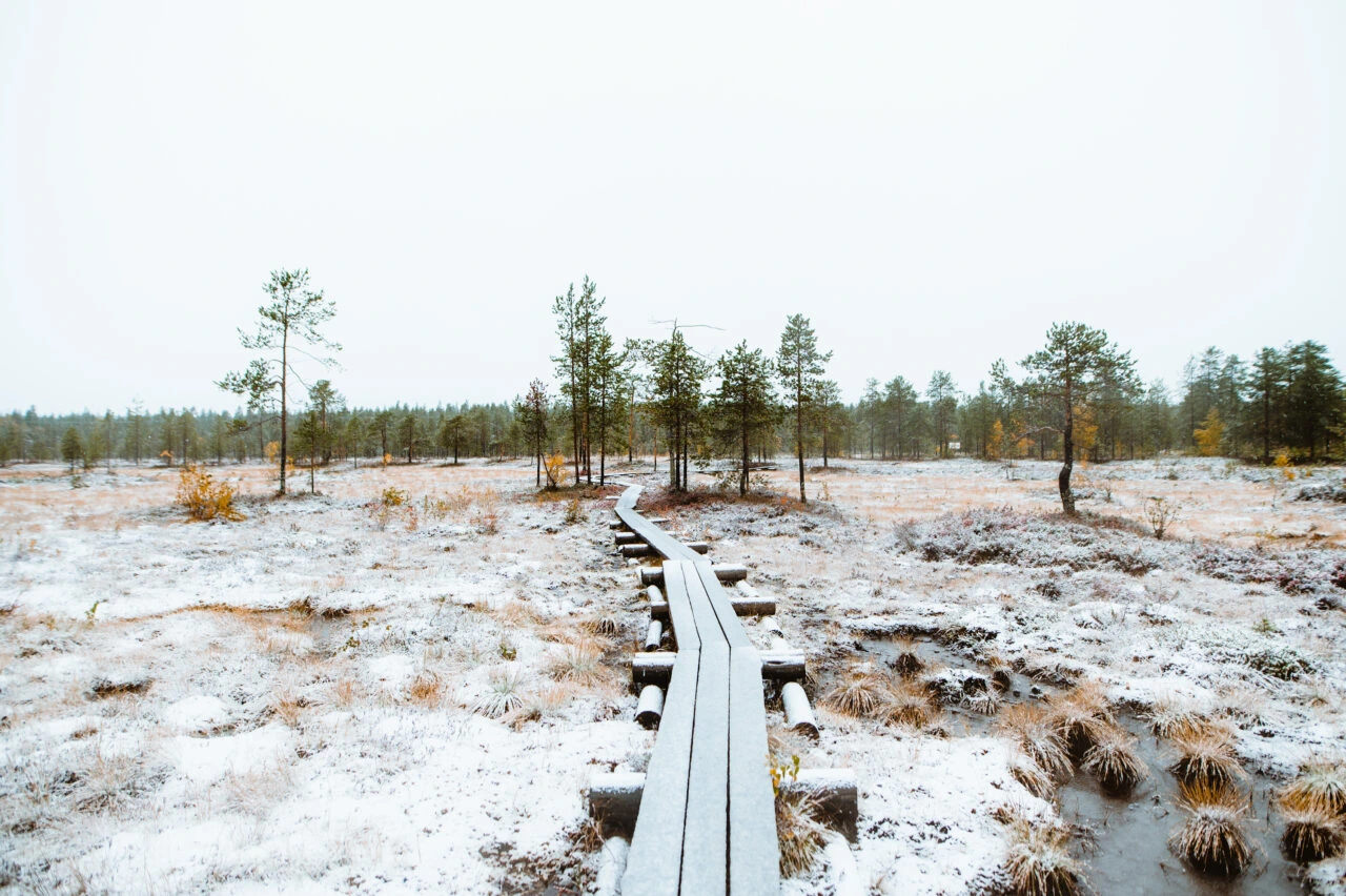 Lapland First Snow in November