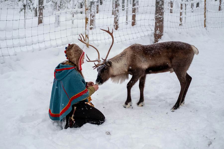 Person in traditional Sami dress kneeling in the snow to feed a reindeer by hand, Jokkmokk, Swedish Lapland. Photo: Nikola Johnny Mirkovic