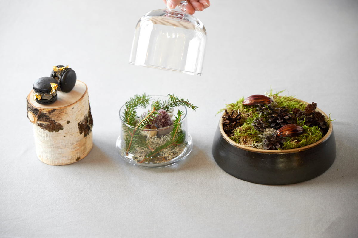 Un plat de haute gastronomie nordique présenté avec mousse, pommes de pin et macarons, à l'Arctic Bath, en Suède.