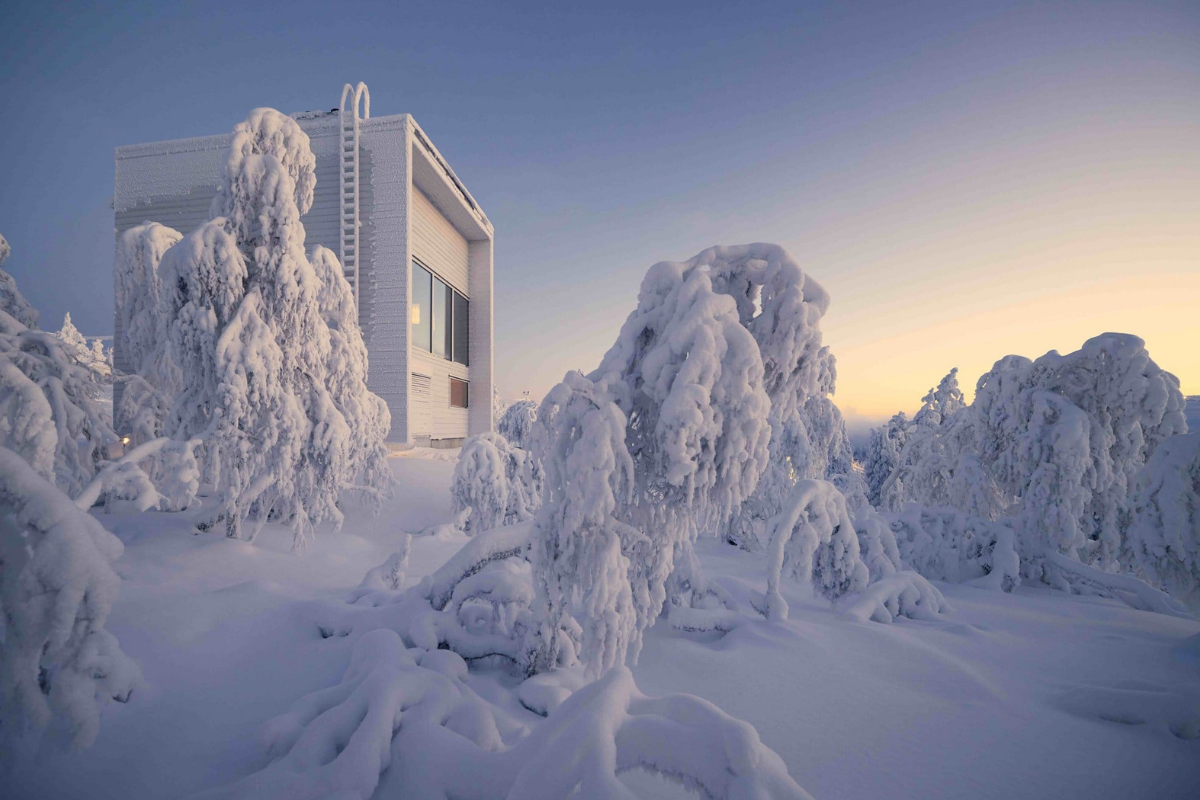 Un chalet moderne du Levi VALO Resort, entouré d'arbres enneigés au crépuscule.