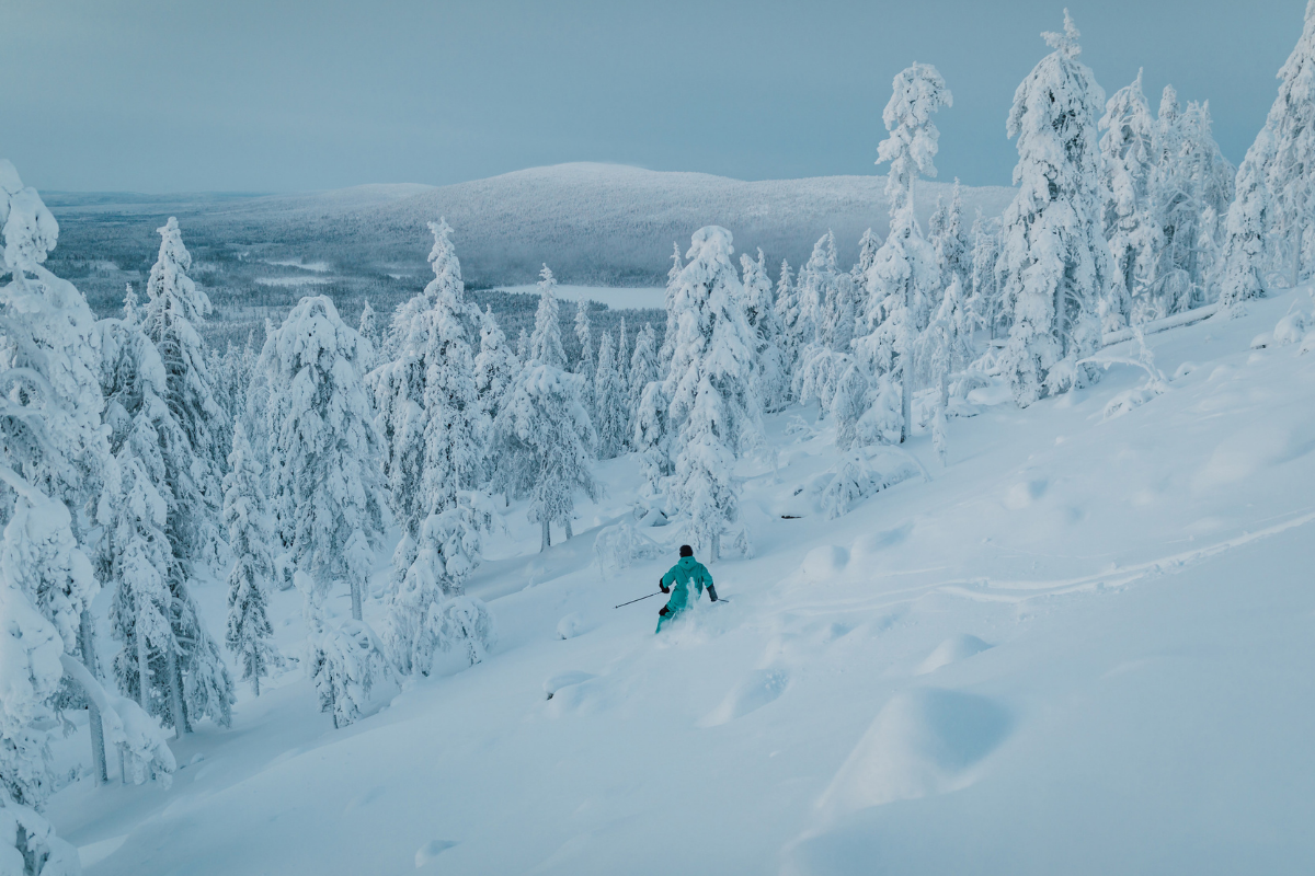 Un skieur descendant une pente enneigée entourée de sapins givrés, à Levi.