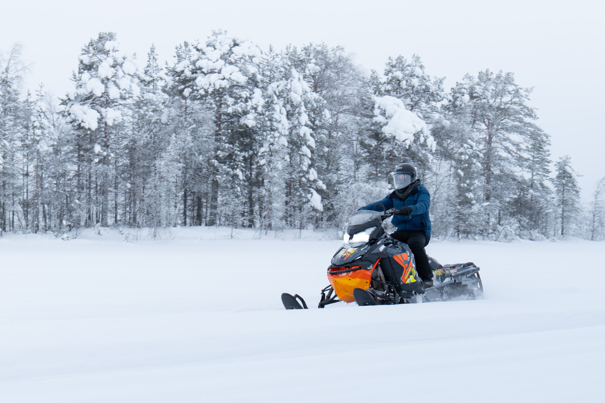 Un motoneigiste traversant un champ de neige près d'une lisière de forêt.
