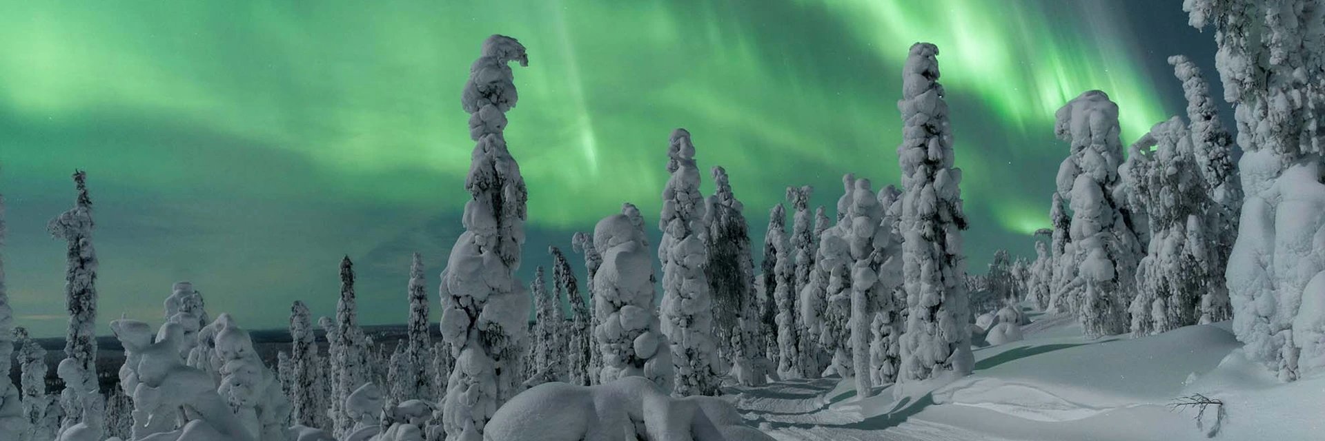 Nothern Lights in Lapland