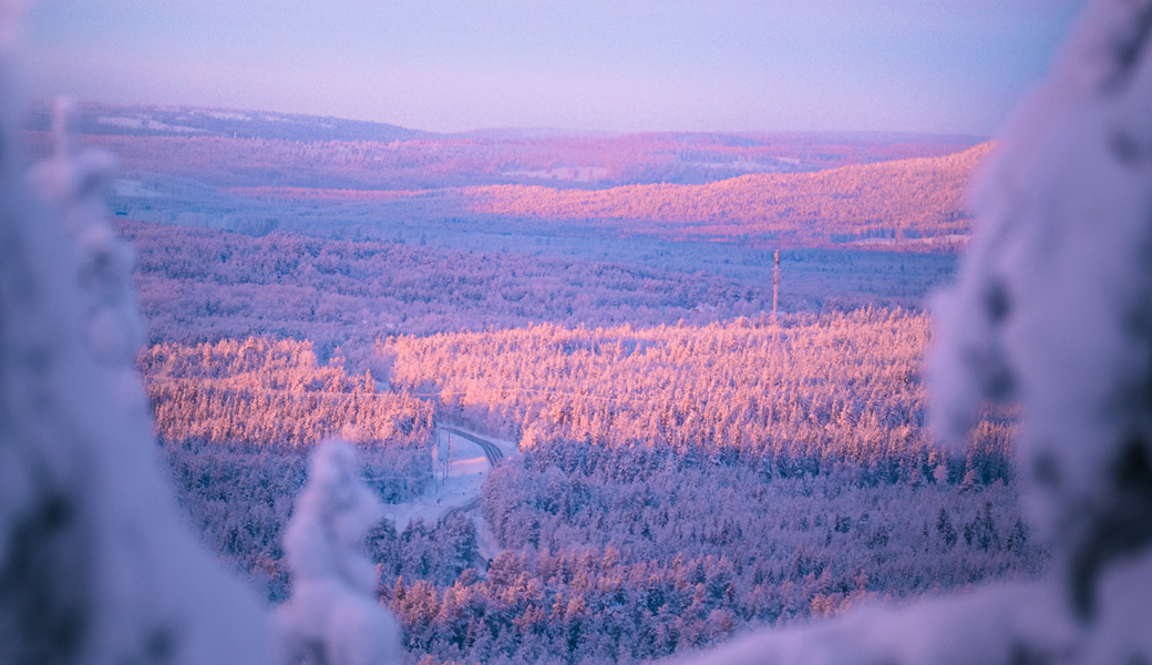 Snow-covered forest and fells lit by pink winter sun in Finnish Lapland.