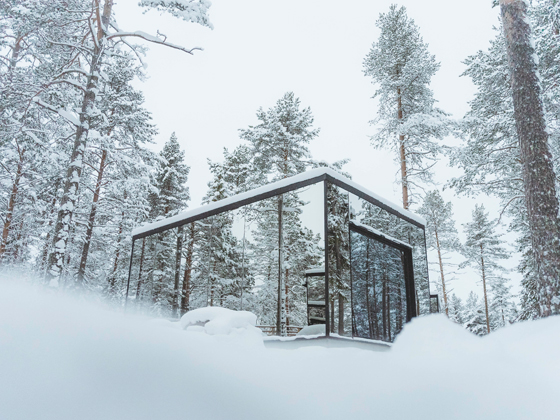 Invisible Forest Lodge, Rovaniemi. Secluded luxury suites set in arctic woodland, 10 minutes from central Rovaniemi.