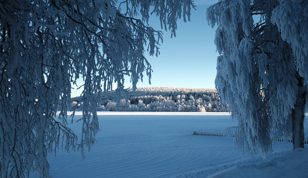Frozen lake and pink winter sky in Finnish Lapland during the polar night.