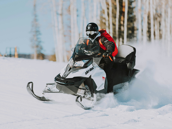 Snowmobile riding through fresh snow past birch trees in Lapland.