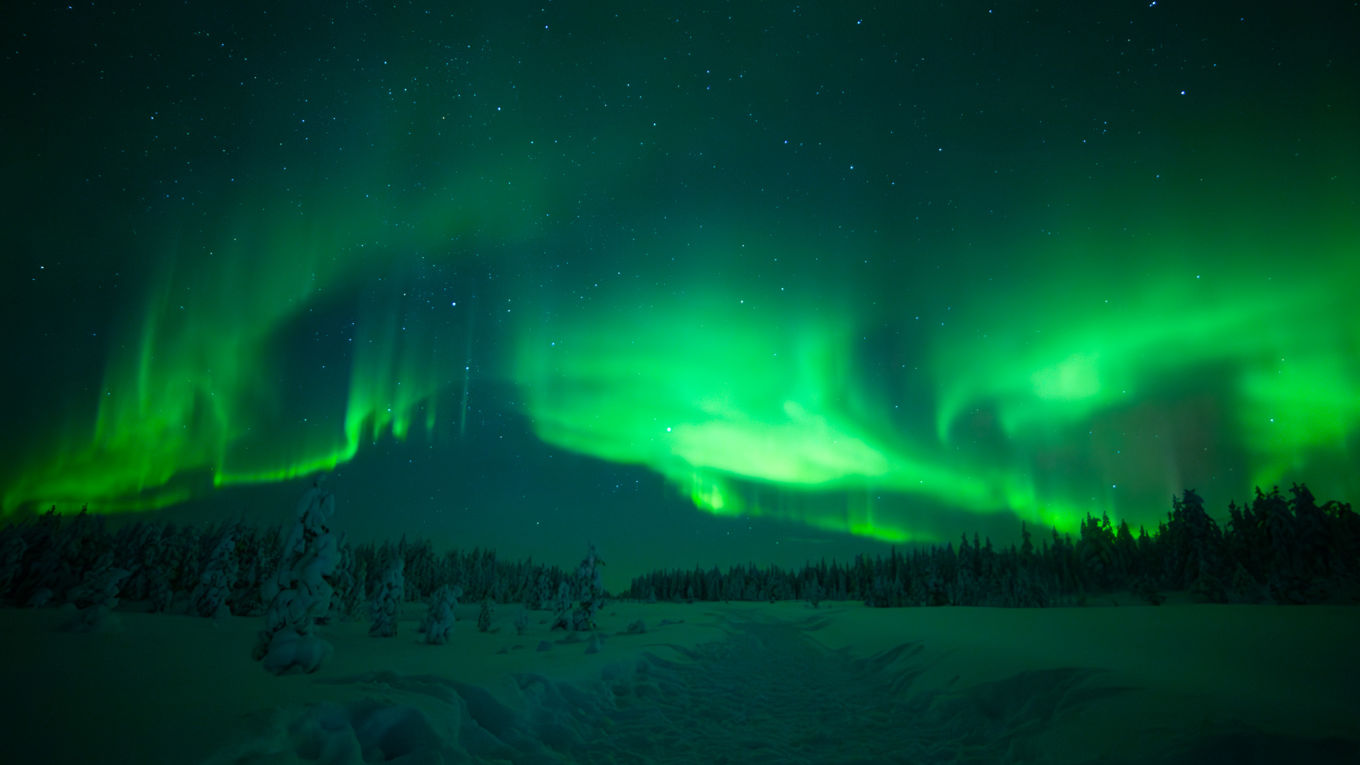 Lapland Polar Night Auroras