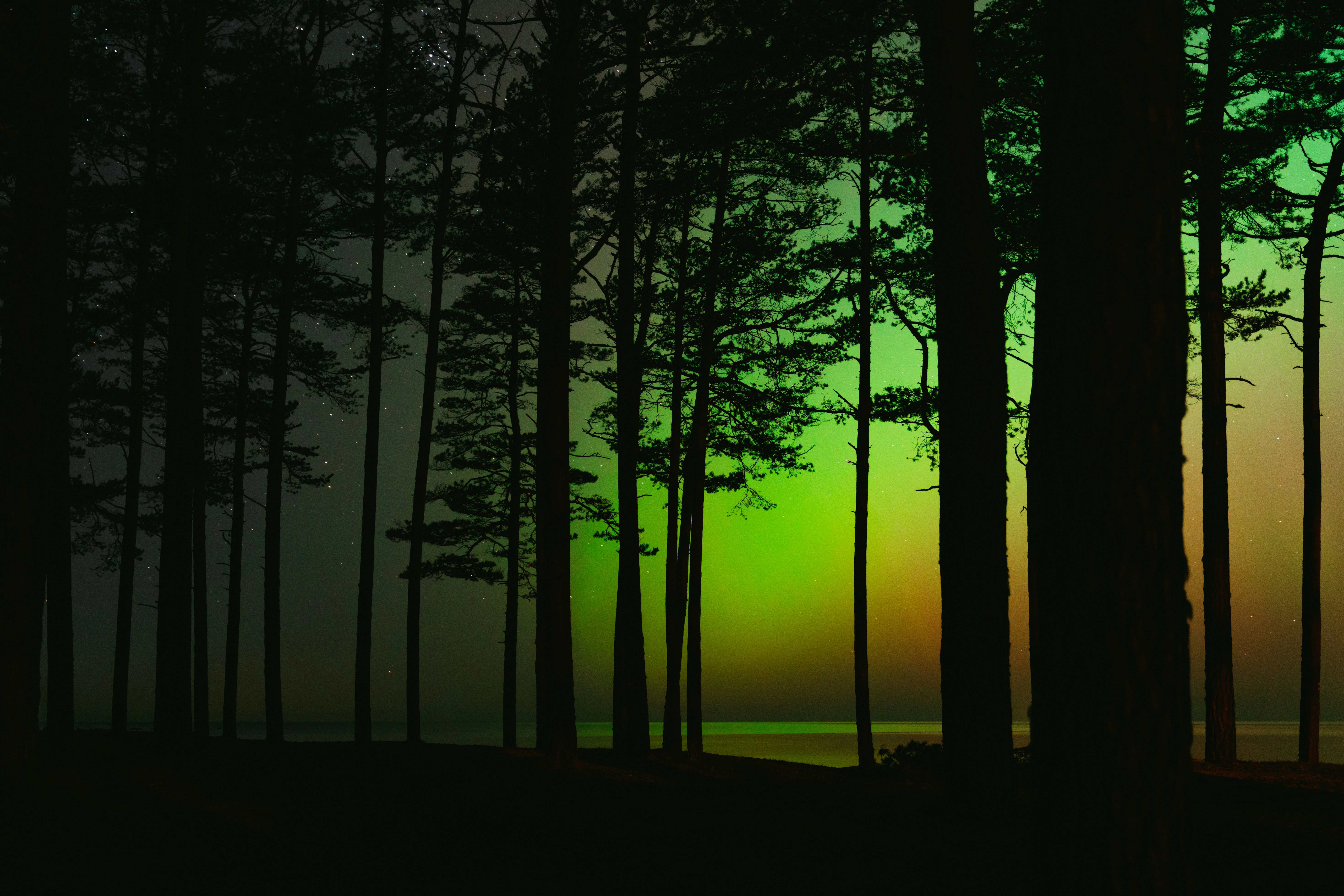 Northern Lights in September in Lapland