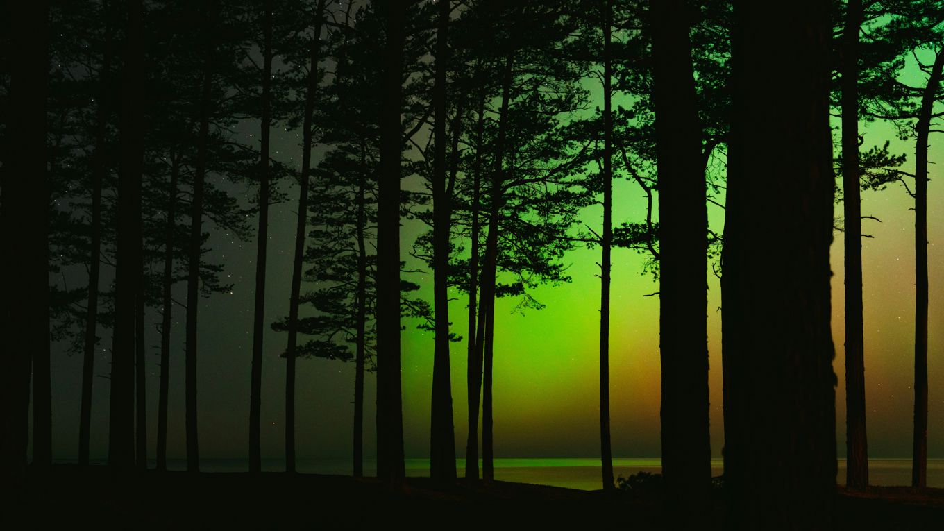 Northern Lights in September in Lapland